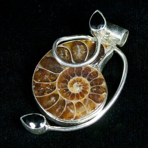 Sterling Silver Ammonite Pendant - Black Onyx #5116